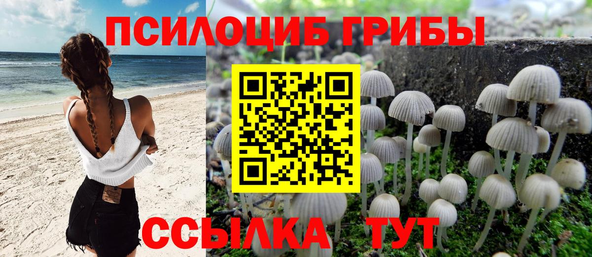 Горно-Алтайск  Псилоцибиновые грибы Psilocybe  Вход с VPN  Псилоцибиновые грибы Magic Shrooms 